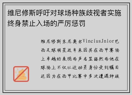 维尼修斯呼吁对球场种族歧视者实施终身禁止入场的严厉惩罚